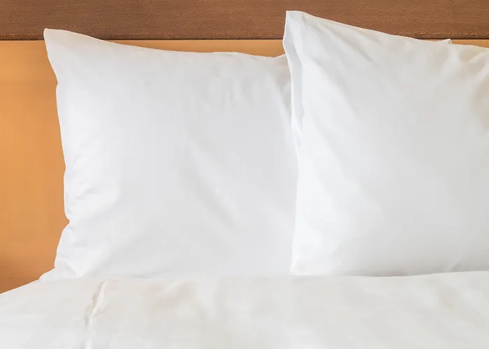 Holiday Inn Binghamton Downtown By Ihg